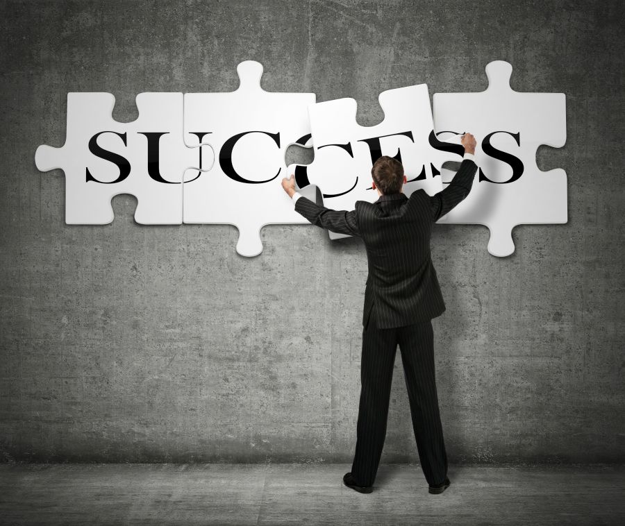 Success puzzle TPG