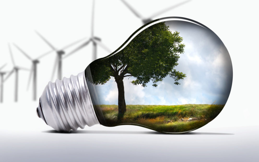 Sustainable Exhibiting