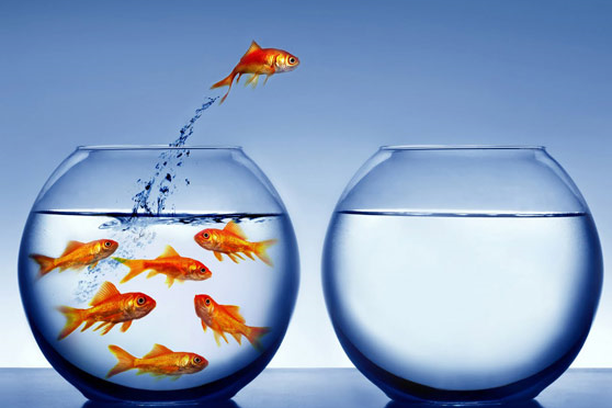 Ditch the Fishbowl – Lead Retrieval in the Digital Age